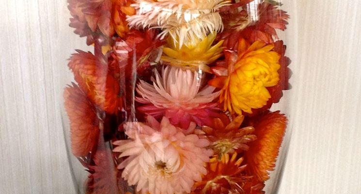 Bicchiere decorato con fiori di elicriso